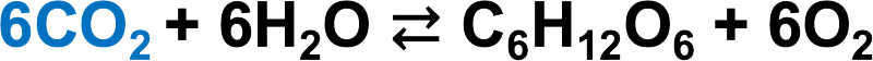 phの影響の説明